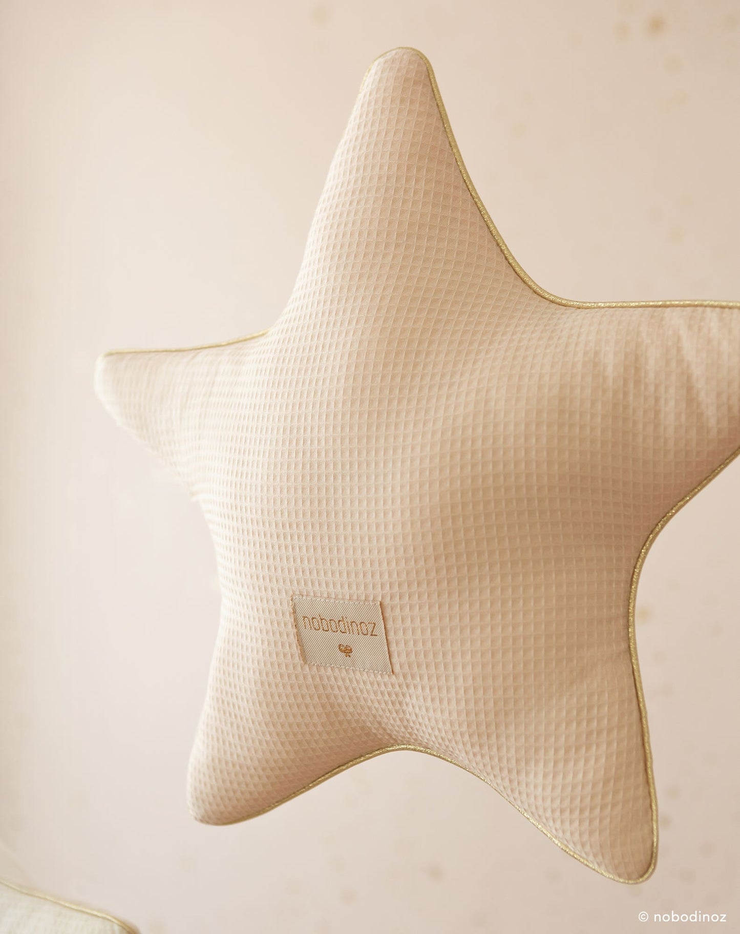 Aristote coussin