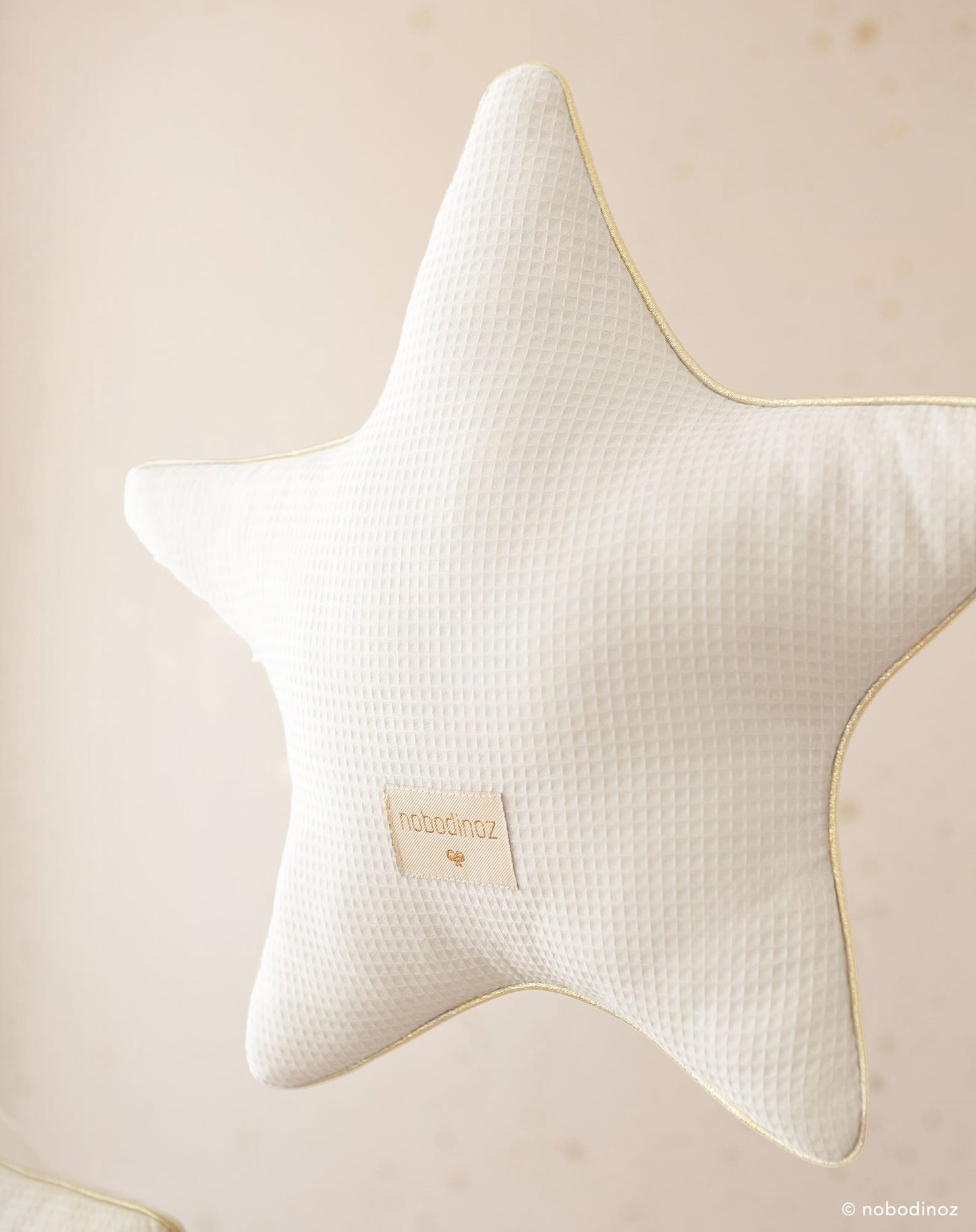 Aristote coussin
