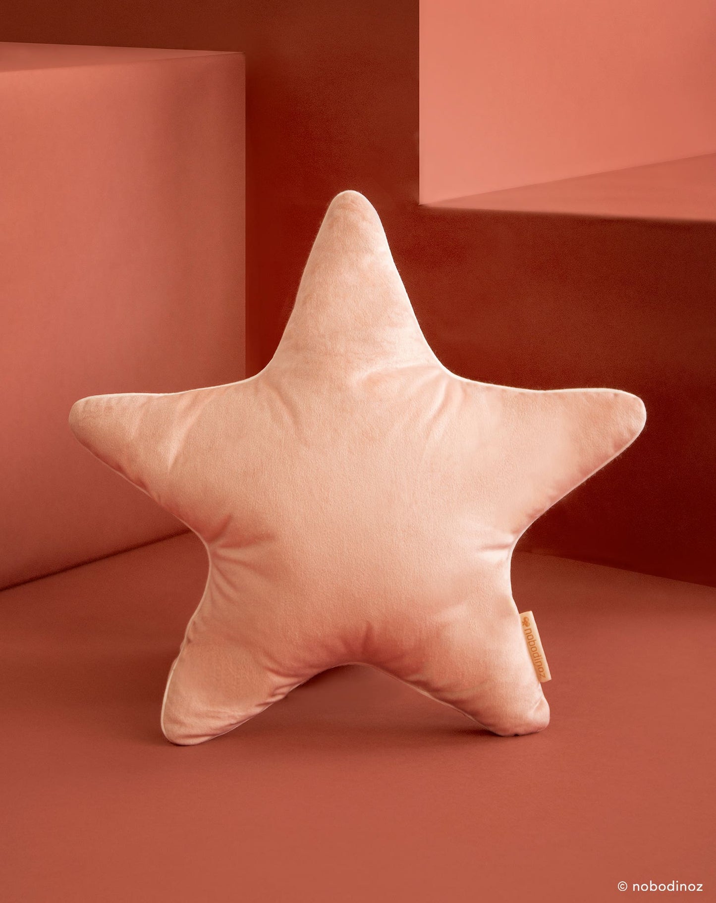 Coussin Aristote velvet étoile