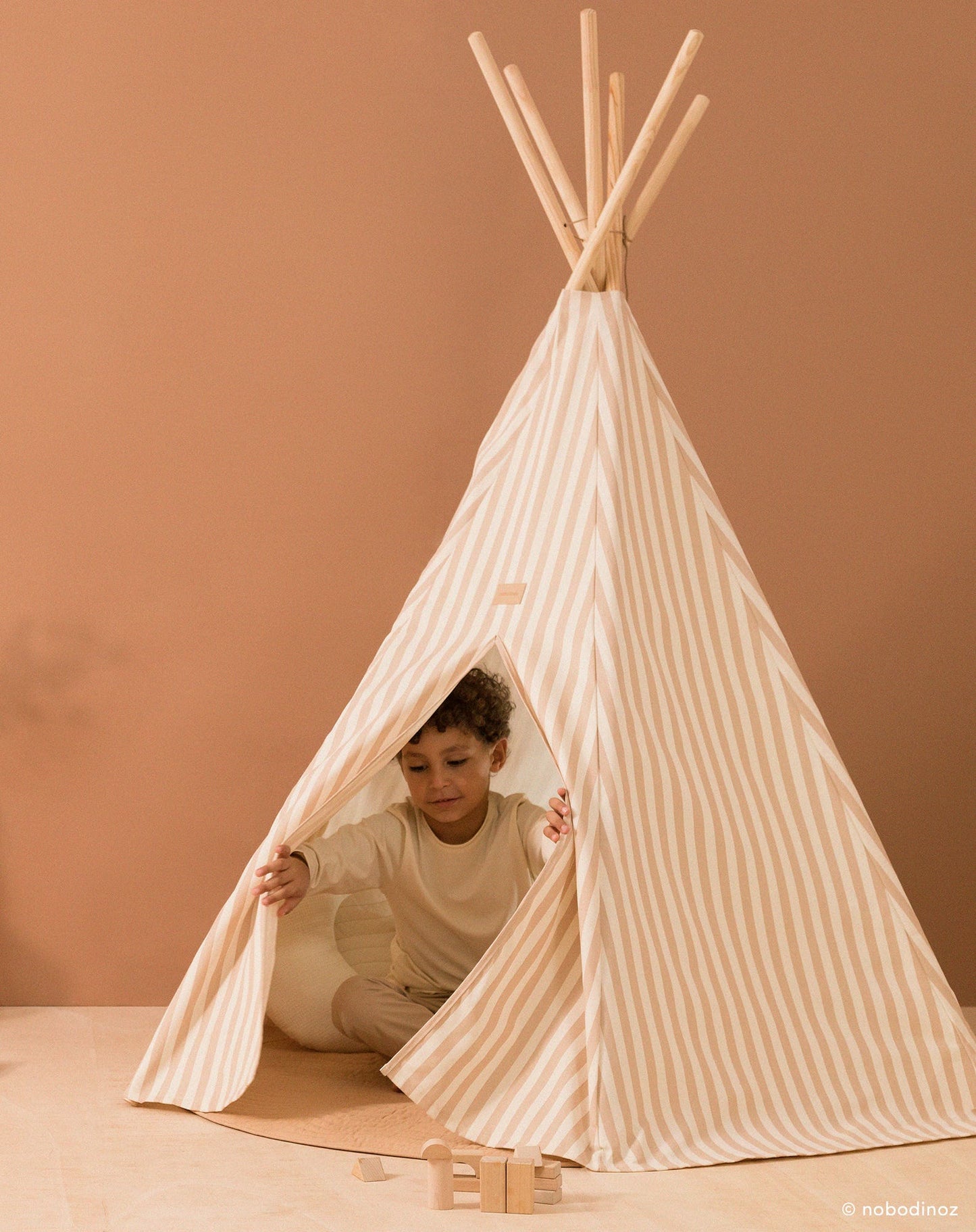 Arizona tipi
