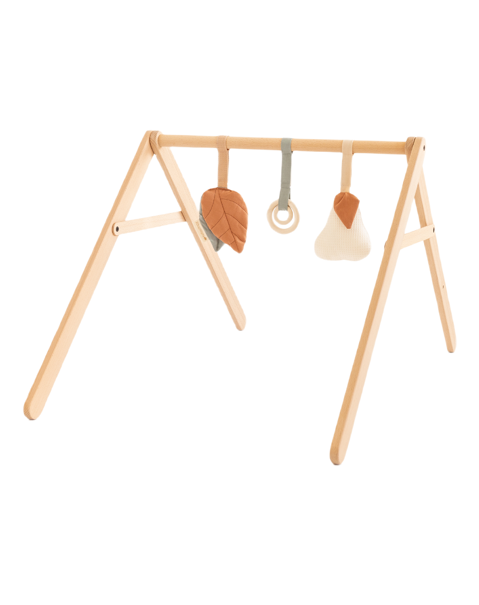 KIT GROWING GREEN ARCH STRUCTURE TOY FOREST
