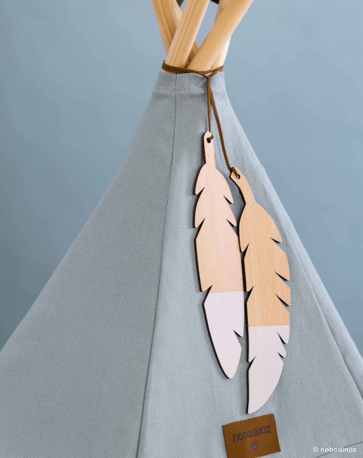 Nevada tipi