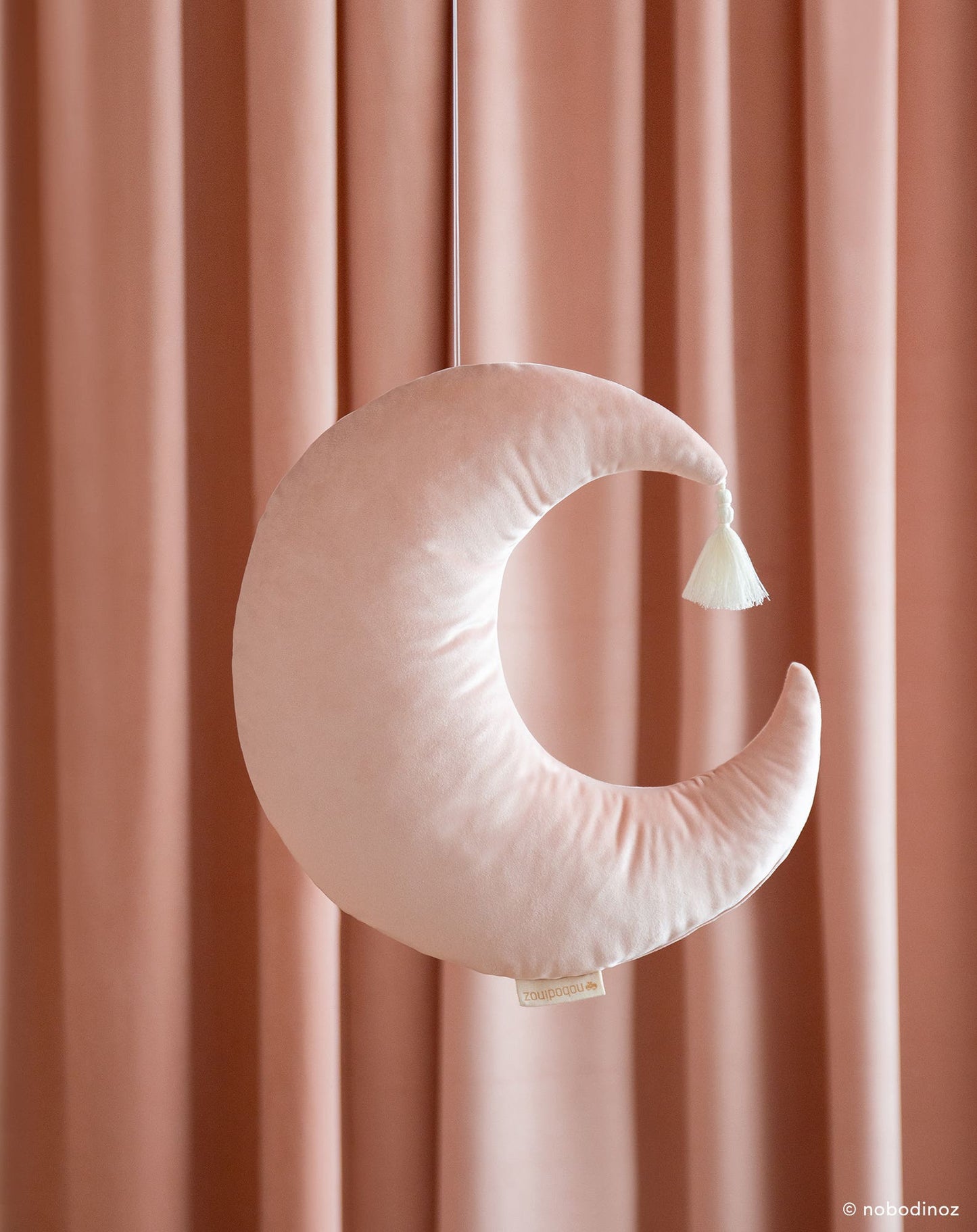 Coussin Pierrot velvet