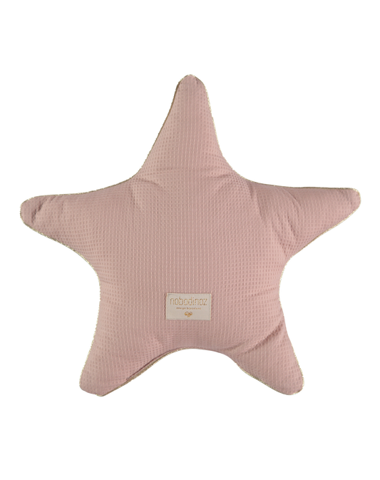 Coussin Aristote