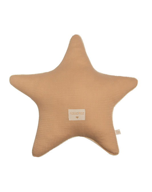 Aristote coussin