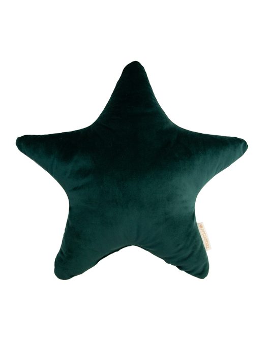 Aristote coussin velvet