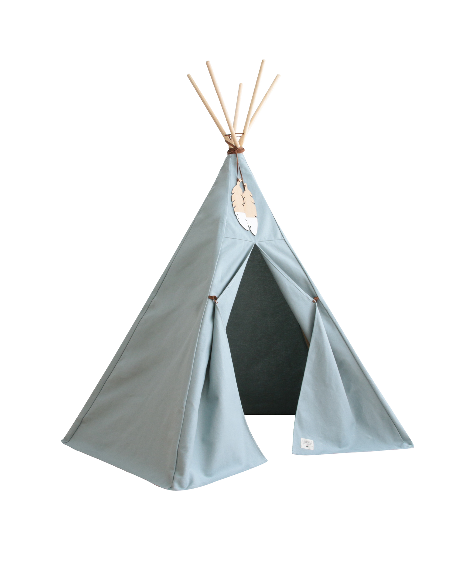 Nevada tipi