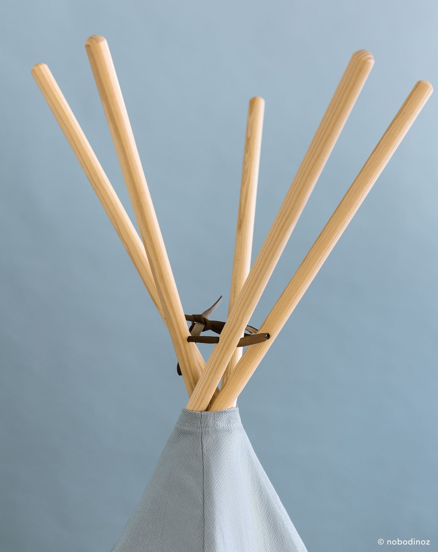 Nevada tipi