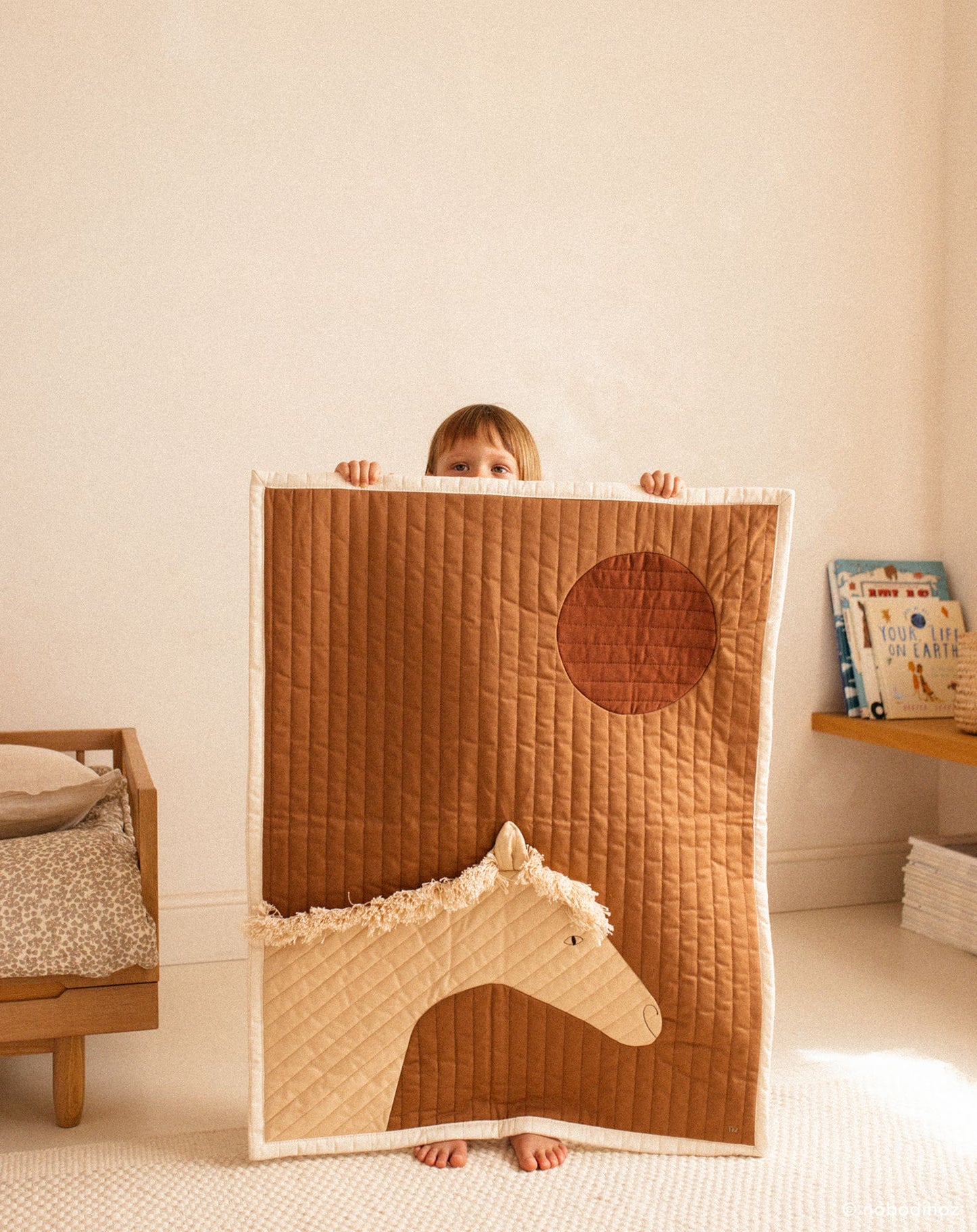 Cuadros acolchados con caballos 