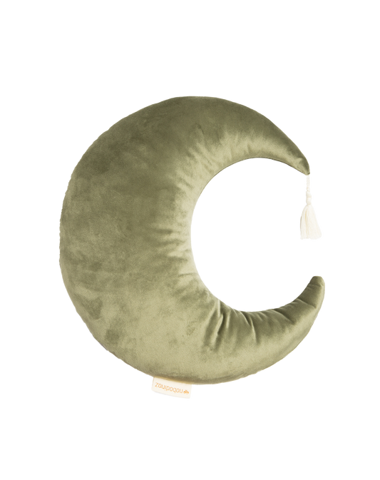 Coussin Pierrot velvet